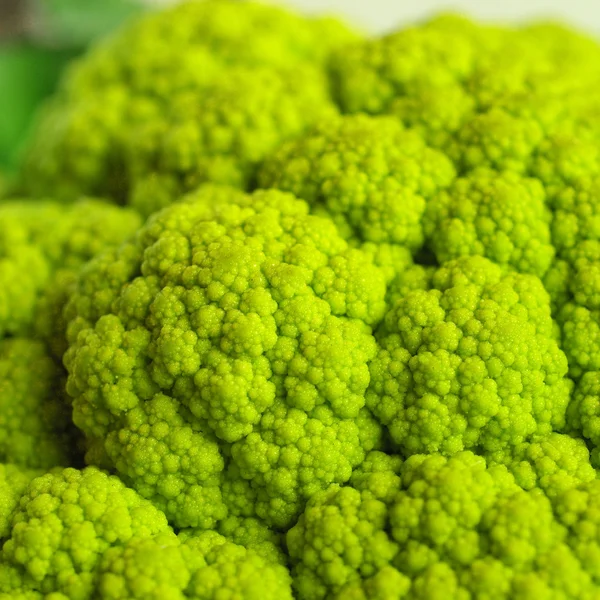 Cauliflower — Stock Photo, Image