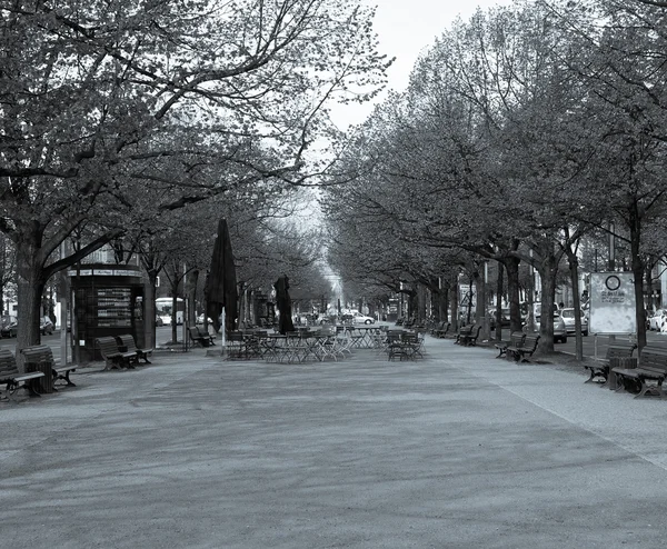 Unter Den Linden Berlin — Stockfoto