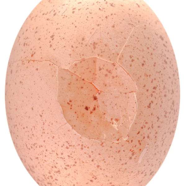 Cracked egg — Zdjęcie stockowe