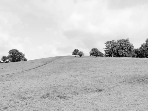 Primrose hill, Londra