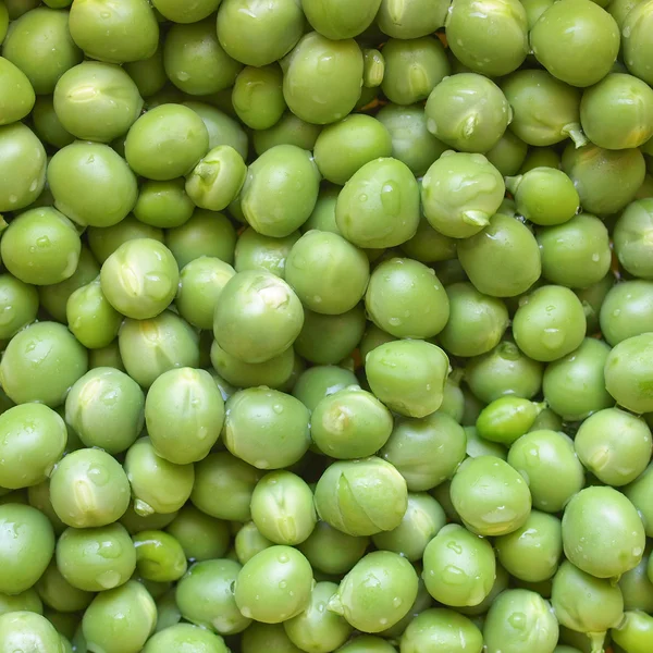 Green peas — Stock Photo, Image