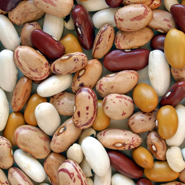 Beans salad — Stock Photo, Image