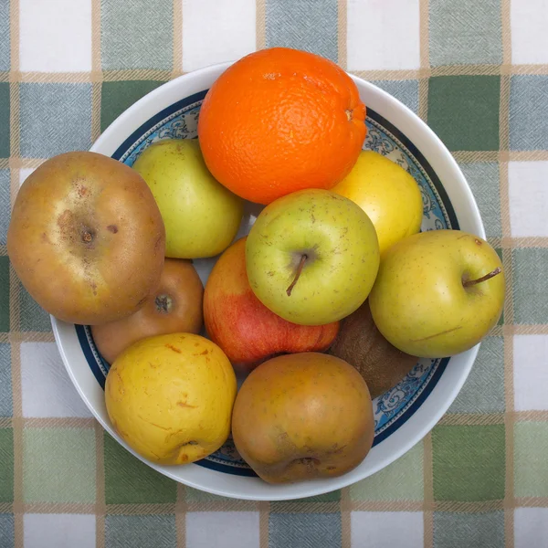 Fruits image — Photo