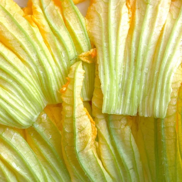 Fiori di courgette — Foto Stock