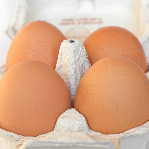 Eggs picture — Stock Photo, Image