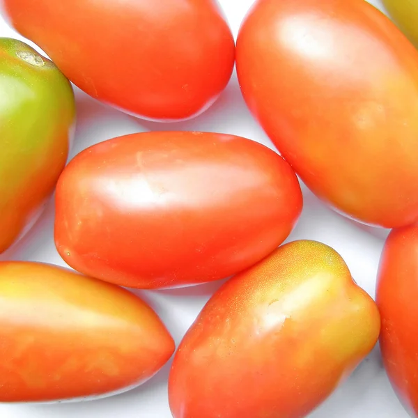 Tomaten — Stockfoto