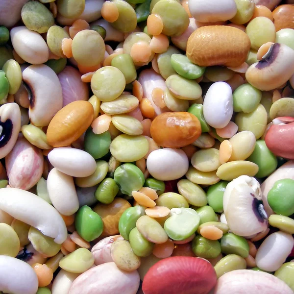 Beans salad — Stock Photo, Image