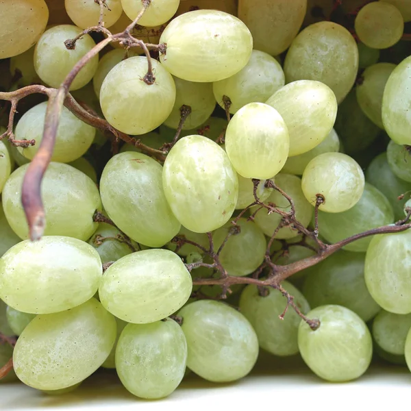 Grape picture — Stock Photo, Image