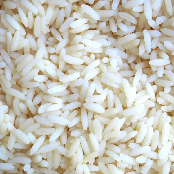 Imagem de arroz — Fotografia de Stock