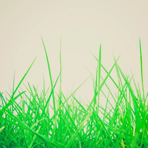 Retro look Gräs äng gräs — Stockfoto