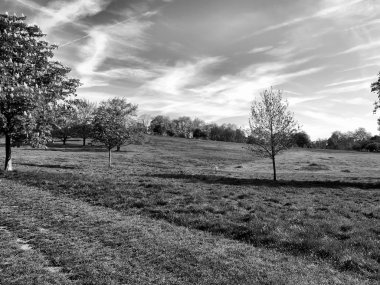 Primrose hill, Londra