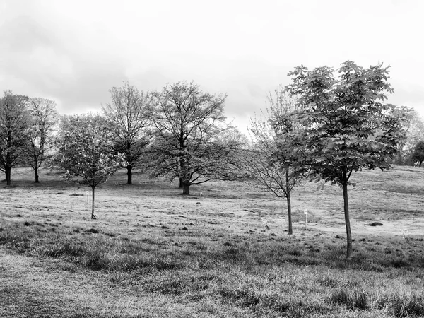 Primrose hill, Londen — Stockfoto