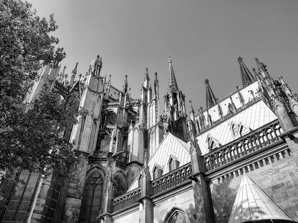 Catedral de Koeln —  Fotos de Stock