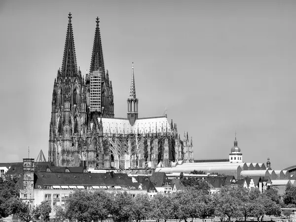 Koeln katedralen — Stockfoto