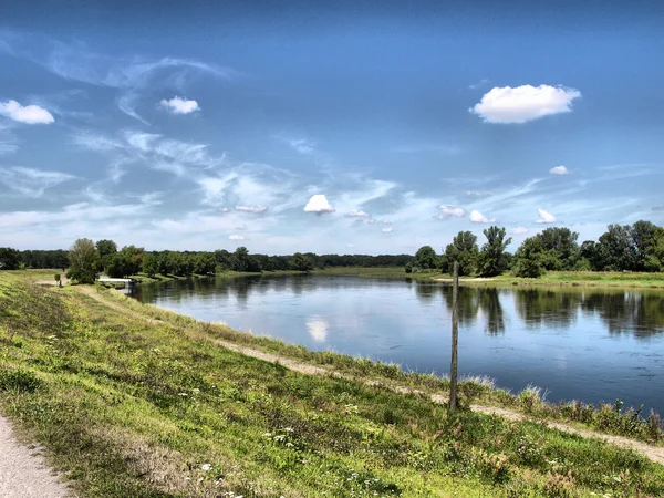 Floden Elbe — Stockfoto