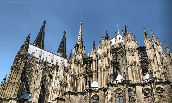 Kölner Dom — Stockfoto