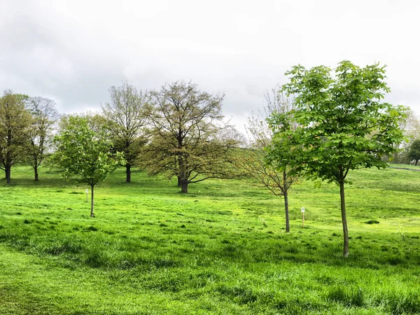 Primrose hill, Londra — Stok fotoğraf