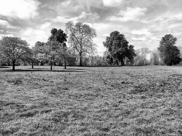 Hyde park, Londra — Stok fotoğraf