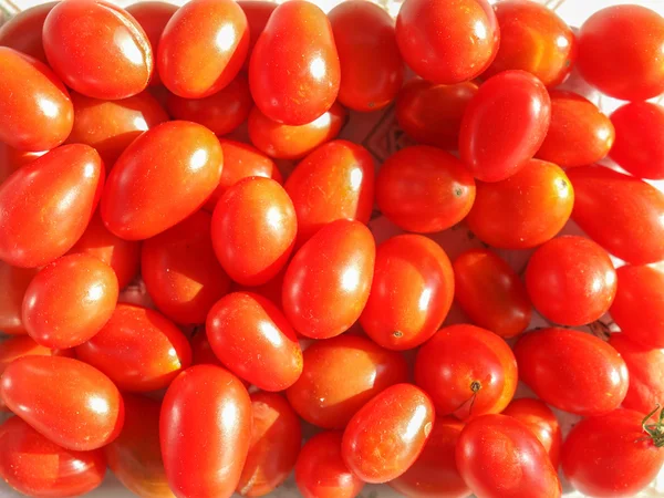 Cerise fond de tomate — Photo
