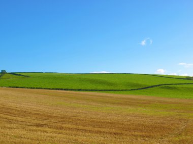 Cardross hill panorama