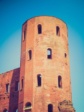 Torri Palatine, Torin