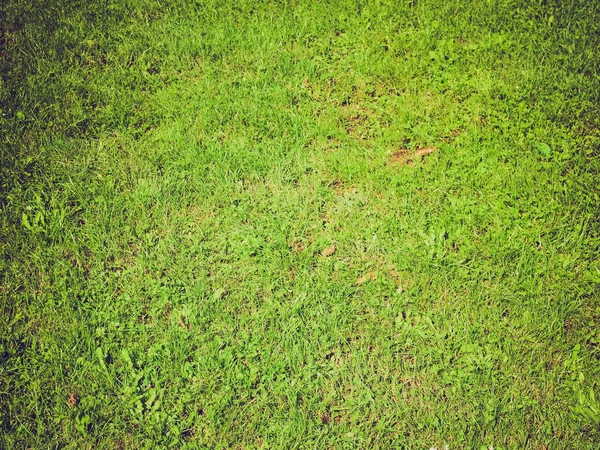 Фон травы — стоковое фото