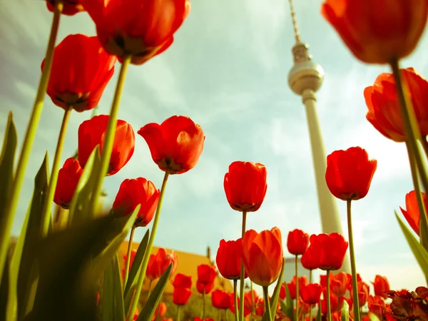 Retro looking TV Tower, Berlin — Stock Photo, Image