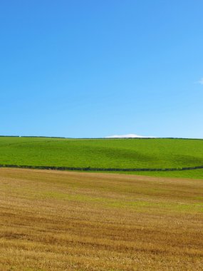 Cardross hill panorama