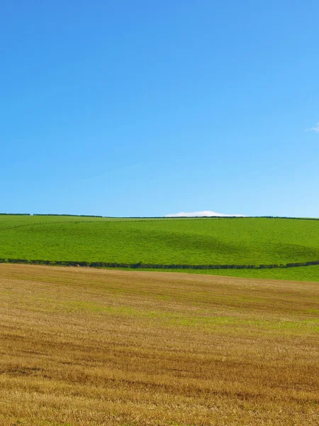 CARDROSS heuvel panorama — Stockfoto