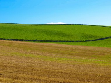 Cardross hill panorama
