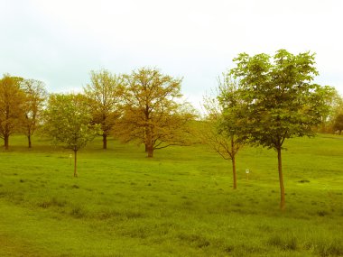 Retro görünümlü primrose hill Londra
