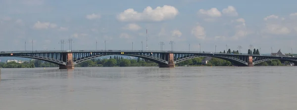 Rhine river in Mainz — Stock Photo, Image