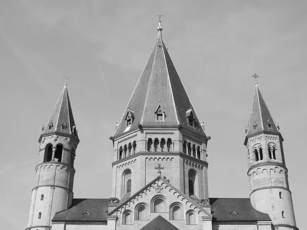 Katedra w Moguncji — Zdjęcie stockowe