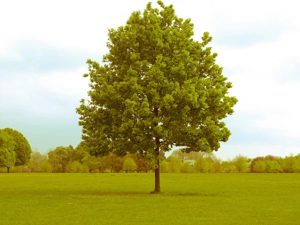 Parco urbano dall'aspetto retrò — Foto Stock