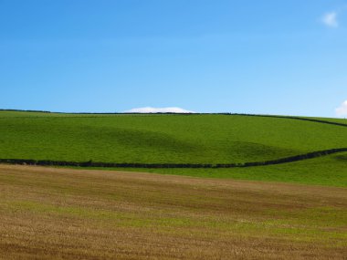 Cardross hill panorama