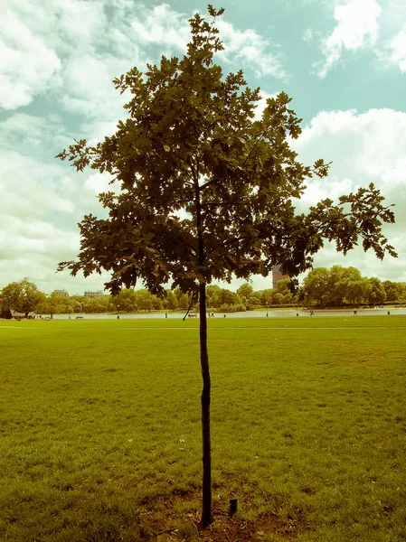 Retro aussehende kensington gardens london — Stockfoto