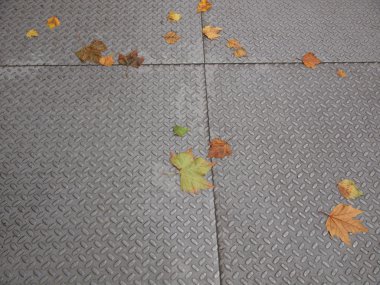 kaldırıma bırakır