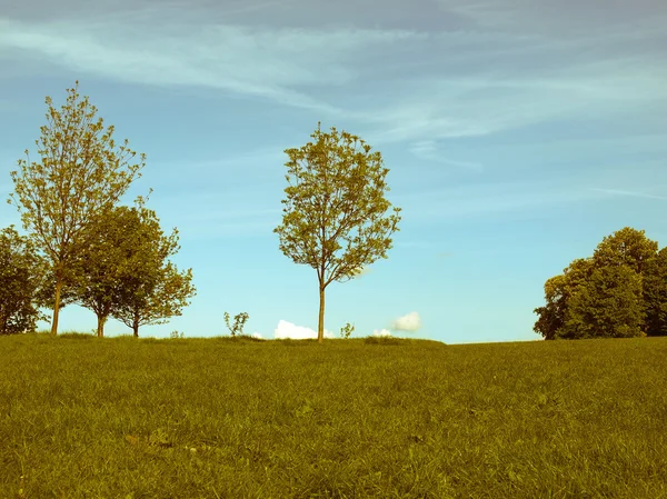 Retro görünümlü Primrose hill, Londra — Stok fotoğraf