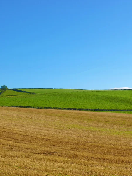 Cardross hill panorama — Stok fotoğraf