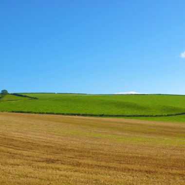 Cardross hill panorama