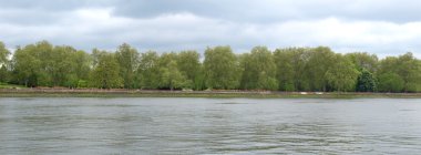 Londra 'da Thames Nehri