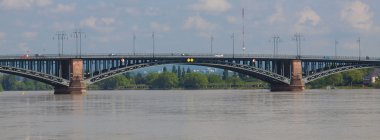 Ren Nehri Mainz