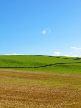 Cardross hill panorama