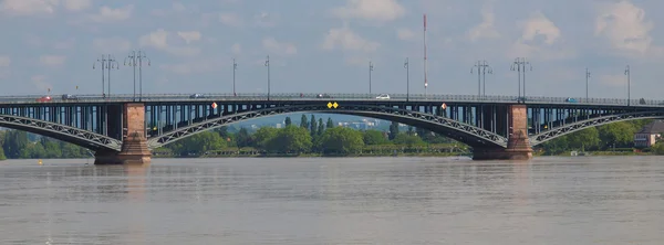 Rhine river in Mainz — Stock Photo, Image