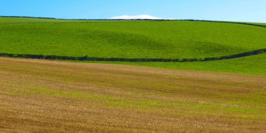 Cardross hill panorama