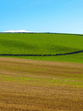 Cardross hill panorama