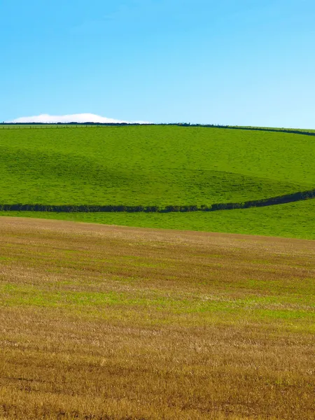 Cardross hill panorama — Stock Photo, Image