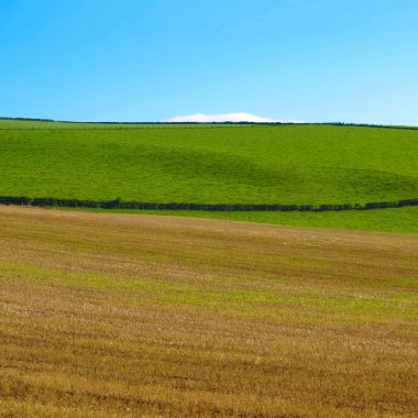 Cardross hill panorama