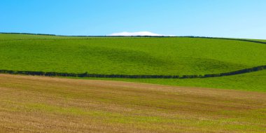 Cardross hill panorama