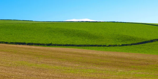 Cardross hill panorama — Stok fotoğraf